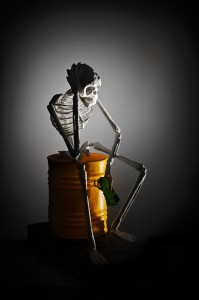 Photo by Marcin Lewandowski www.soundofphotography.com