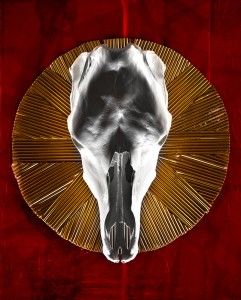 Photo by Marcin Lewandowski www.soundofphotography.com